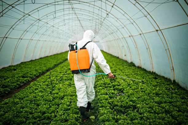 Best Pest Control for Restaurants  in Southport, IN